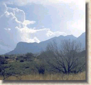 Guadalupe Mtns. N,P,